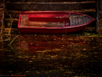 altes rotes Ruderboot mit Lichtstimmung