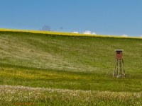 blühende Wiesen und Landschaften