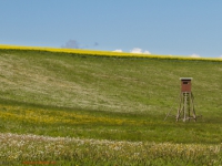 blühende Wiesen und Landschaften