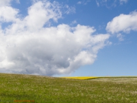 blühende Wiesen und Landschaften