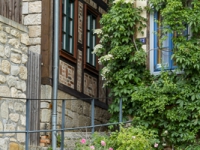 blühendes Quedlinburg