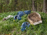 illegale Müllentsorgung in der Natur