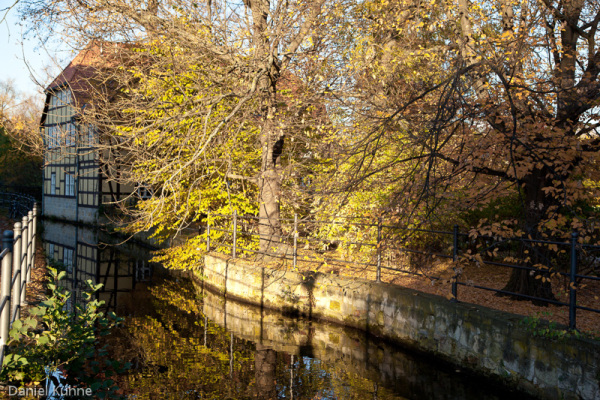 goldener Herbst Stimmung Wordgarten Quedlinburg