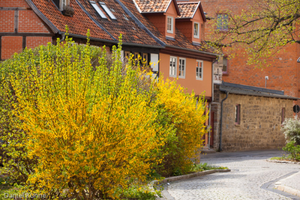 Quedlinburg im Frühjahr