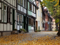 Herbst in Quedlinburg