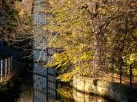 goldener Herbst Stimmung Wordgarten Quedlinburg