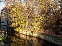 goldener Herbst Stimmung Wordgarten Quedlinburg