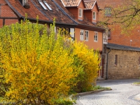 Quedlinburg im Frühjahr