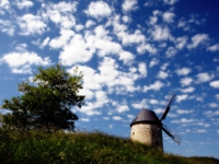 Windmühle mit Mohnblüte