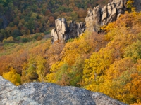 Blick vom Hexentanzplatz in das Bodetal / Harz