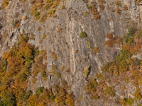 Blick in das Bodetal vom Hexentanzplatz mit herbstlicher laubfärbung