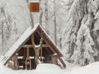 Schutzhütte im Bodetal bei Friedrichsbrunn