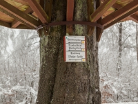 Schutzhütte im Bodetal bei Friedrichsbrunn