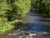 Harz Bodetal