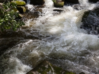 Wildwasser Bodetal Bode