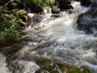 Wildwasser Bodetal Bode