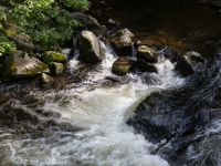 Wildwasser Bodetal Bode