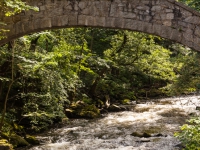 Bodetal Wildwasser Bode