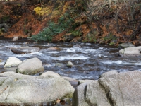 Bode, Bodetal bei Thale