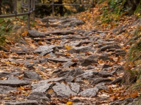 Wanderweg Harzer Hexen-stieg hier im Bodetal