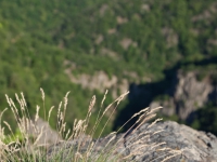 Blick von der Roßtrappe