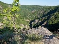 Blick von der Roßtrappe