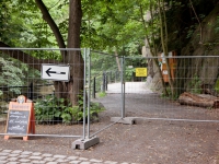 Felssturz im Bodetal Gefährdung Arbeitsplätze