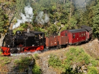 Harzer Schmalspurbahnen Dampflok im Selketal