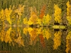 Herbstlaub und Spiegelung im Wasser