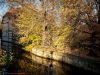 goldener Herbst Stimmung Wordgarten Quedlinburg