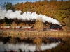 Harzer Schmalspurbahnen im Herbst / Selketalbahn