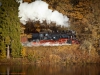 Harzer Schmalspurbahnen im Herbst / Selketalbahn