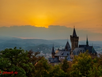 Schloss Wernigerode Harz im Sonnenuntergang-1