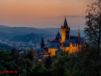 Schloss Wernigerode Harz im Sonnenuntergang-10