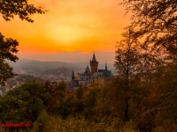 Schloss Wernigerode Harz im Sonnenuntergang-3