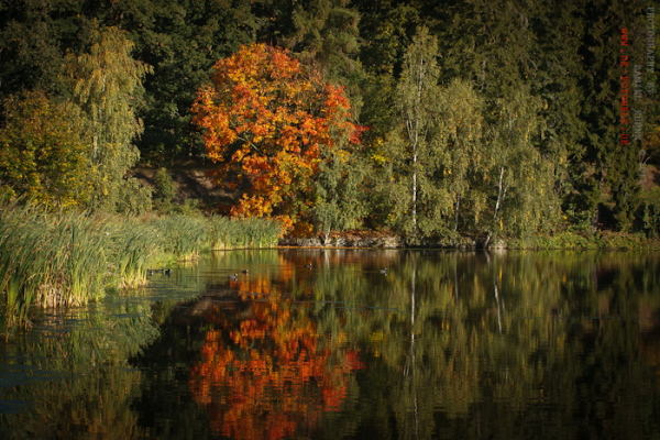 Herbstfarben