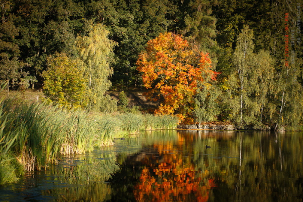 Herbstfarben