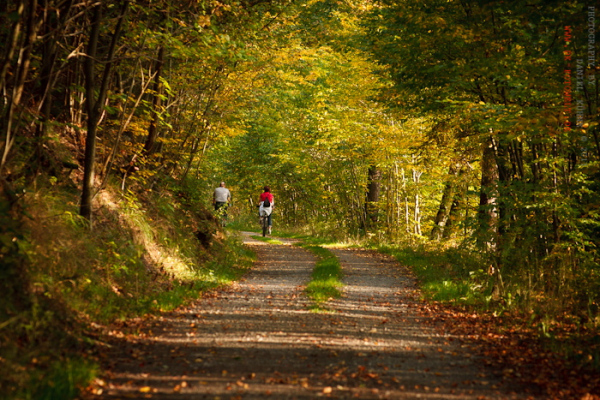 Selketalstieg im Herbst