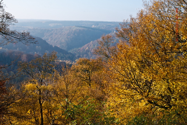 Blick ins Selketal