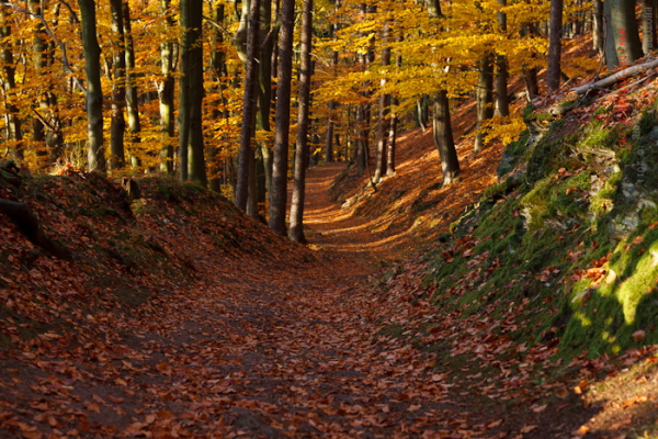 Wanderweg