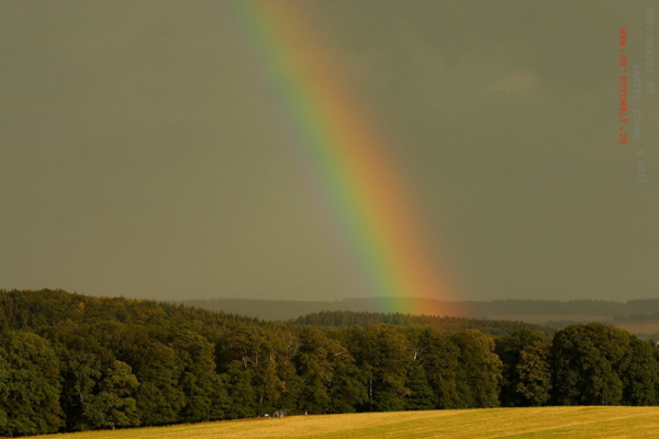 Regenbogen