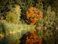 Herbstfarben