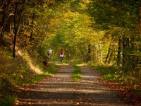 Selketalstieg im Herbst