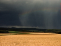 Unwetter Feld