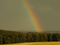 Regenbogen