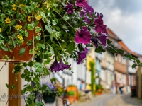 fotografischer Streifzug Bilder aus Quedlinburg Daniel Kühne-13