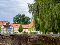 fotografischer Streifzug Bilder aus Quedlinburg Daniel Kühne-49