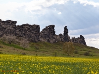 Teufelsmauer bei Thale im Harz