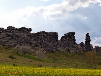 Teufelsmauer bei Thale im Harz