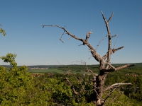 Teufelsmauer Harz Teufelsmauer-Stieg von Ballenstedt bis Blankenburg